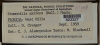 Image Associated With the Occurence